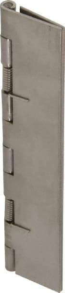 Value Collection - 5" Long x 2" Wide x 0.05" Thick, Spring Hinge - Stainless Steel - USA Tool & Supply