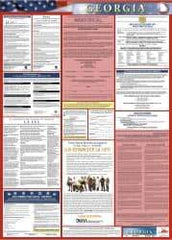 NMC - 24" Wide x 40" High Laminated Paper Labor Law Information Poster - Georgia Jurisdiction, 0.03" Thick, Spanish - USA Tool & Supply