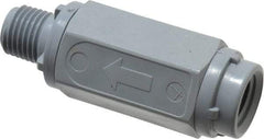 Specialty Mfr - 1/4" PVC Check Valve - Inline, MNPT x FNPT, 125 WOG - USA Tool & Supply
