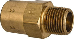 Specialty Mfr - 3/8" Brass Check Valve - Inline, FNPT x MNPT, 500 WOG - USA Tool & Supply