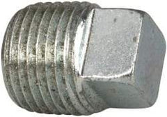 Cooper Crouse-Hinds - 1/2" Trade, Cast Iron Threaded Rigid/Intermediate (IMC) Conduit Plug - Noninsulated - USA Tool & Supply