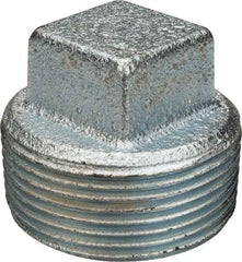 Cooper Crouse-Hinds - 1-1/4" Trade, Cast Iron Threaded Rigid/Intermediate (IMC) Conduit Plug - Noninsulated - USA Tool & Supply