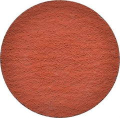 3M - 2" Disc Diam, 100 Grit, Ceramic Quick Change Disc - Type S Attaching System, Coated, Orange, Fine Grade, 25,000 RPM, 777F Series - USA Tool & Supply