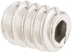 Value Collection - #6-32 UNC, 3/16" OAL, Cup Point Set Screw - Grade 18-8 Stainless Steel, 1/16" Key - USA Tool & Supply