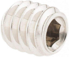 Value Collection - #8-32 UNC, 3/16" OAL, Cup Point Set Screw - Grade 18-8 Stainless Steel, 5/64" Key - USA Tool & Supply