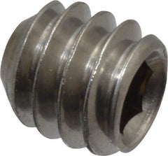 Value Collection - 1/4-20 UNC, 1/4" OAL, Cup Point Set Screw - Grade 18-8 Stainless Steel, 1/8" Key - USA Tool & Supply