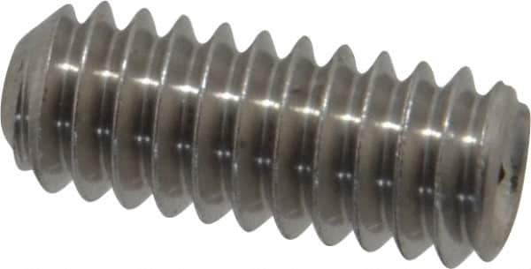 Value Collection - 1/4-20 UNC, 5/8" OAL, Cup Point Set Screw - Grade 18-8 Stainless Steel, 1/8" Key - USA Tool & Supply
