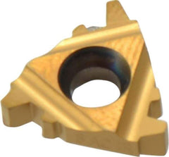 Carmex - 16IR Internal Right Hand 8 Acme Laydown Threading Insert - Grade P25C, TiN Coated Carbide - USA Tool & Supply