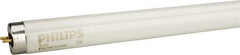 Philips - 32 Watt Fluorescent Tubular Medium Bi-Pin Lamp - 5,000°K Color Temp, 2,000 Lumens, T8, 20,000 hr Avg Life - USA Tool & Supply