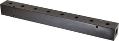 Made in USA - 3/8" Inlet, 1/8" Outlet Manifold - 12-1/4" Long x 1-1/4" Wide x 1-1/4" High, 0.2" Mount Hole, 2 Inlet Ports, 8 Outlet Ports - USA Tool & Supply