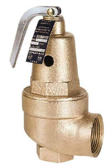 Conbraco - 2" Inlet, 2" Outlet, ASME Safety Relief Valve - 30 Max psi, 5,193,000 BTUs - USA Tool & Supply