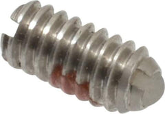 Gibraltar - 5-40, 0.062" Ball Diam, 0.25" Body Length, 0.02" Max Ball Reach, Threaded Ball Plunger - Stainless Steel Body, Nylon Ball, 0.25 Lb Initial End Force, 0.75 Lb Final End Force, Locking Element - USA Tool & Supply