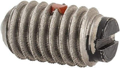 Gibraltar - 5/16-18, 0.156" Ball Diam, 0.578" Body Length, 0.04" Max Ball Reach, Threaded Ball Plunger - Stainless Steel Body, Nylon Ball, 4 Lb Initial End Force, 9 Lb Final End Force, Locking Element - USA Tool & Supply