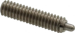 Gibraltar - 8-32, 5/8" Thread Length, 3/32" Plunger Projection, Stainless Steel Threaded Spring Plunger - USA Tool & Supply