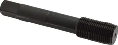 OSG - 3/4-16 UNF H7 Thread Limit Plug Thread Forming Tap - Cobalt, Oxide Finish, 4-1/4" OAL, 2" Thread Length, Right Hand Thread, Series HY-PRO NRT - USA Tool & Supply