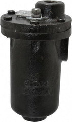 Hoffman Speciality - 3/4" NPT Inlet, 1/2" NPT Outlet, 250 Max psi, Cast Iron Water Vent - 350 Max Hydrostatic psi, 300°F Max - USA Tool & Supply