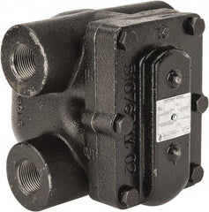 Hoffman Speciality - 3/4 Female" Pipe, Cast Iron Float & Thermostatic Steam Trap - 75 Max psi - USA Tool & Supply