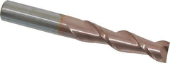 Accupro - 1/2", 2" LOC, 1/2" Shank Diam, 4" OAL, 2 Flute, Solid Carbide Square End Mill - Single End, TiCN Finish, Spiral Flute, 40° Helix, Centercutting, Right Hand Cut, Right Hand Flute - USA Tool & Supply