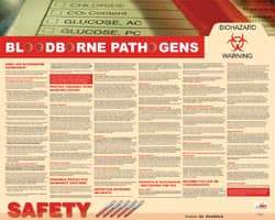 NMC - 30" Wide x 24" High Laminated Paper Bloodborne Pathogens Information Poster - English - USA Tool & Supply