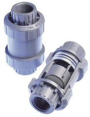 Plast-O-Matic - 1/4" PVC Check Valve - Inline, FNPT x FNPT, 150 WOG - USA Tool & Supply