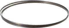 Starrett - 6 TPI, 7' 9" Long x 1/4" Wide x 0.025" Thick, Welded Band Saw Blade - Carbon Steel, Toothed Edge, Raker Tooth Set, Flexible Back, Contour Cutting - USA Tool & Supply