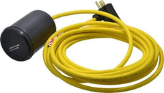 Berkeley - 115 AC Volt, High Temp, Float Switch - 15 Ft. Cord Length, Polypropylene - USA Tool & Supply