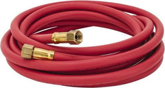 Coilhose Pneumatics - Paint Sprayer Hose with Fittings - USA Tool & Supply