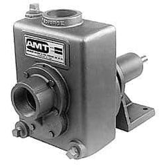 American Machine & Tool - 2 Inch Outlet, Cast Iron, Pedestal Mount Pump - F.G. Casing Seal, Pedestal Pump - USA Tool & Supply