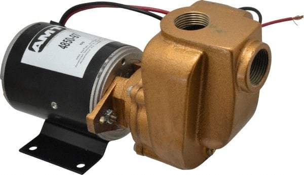 American Machine & Tool - 12 Volt, 1/8 hp, 3/4 Inlet, Bronze Utility Pump - 14 Max Head Pressure, 3/4 Inch Outlet - USA Tool & Supply