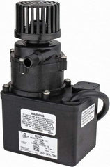 Little Giant Pumps - 1/35 HP, 12.8 Shut Off Feet, Magnetic Drive Pump - 1 Phase, 60 Hz - USA Tool & Supply