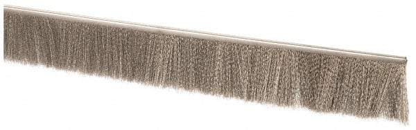 PRO-SOURCE - 1/2" Back Strip Brush Width, Stainless Steel Back Strip Brush - 2" Bristle Length, Stainless Steel, 72" OAL - USA Tool & Supply