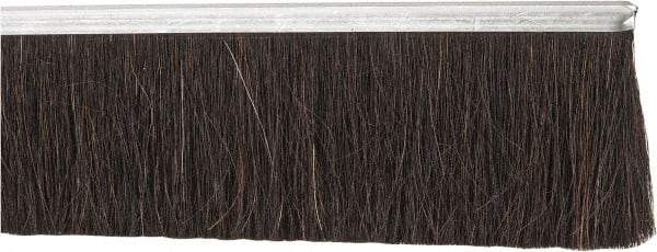 PRO-SOURCE - 1/2" Back Strip Brush Width, Metal Back Horsehair Strip Brush - 3" Bristle Length, Horsehair, 72" OAL - USA Tool & Supply