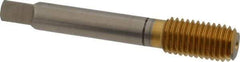 Balax - M14x2.00 Metric Coarse D14 Thread Limit Bottoming Thread Forming Tap - High Speed Steel, TiN Finish, 3-19/32" OAL, 1" Thread Length, Right Hand Thread, Series BXMB - Exact Industrial Supply