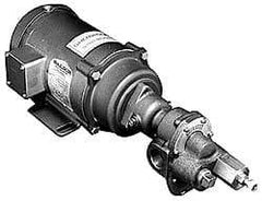 Pentair - 17-1/2 Inch Long, Close Coupled-Mount Gear Close Coupled Mount Gear Pump - ODP, 7 Max GPM - USA Tool & Supply