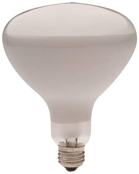 Philips - 300 Watt Incandescent Flood/Spot Medium Screw Lamp - 2,700°K Color Temp, 2,960 Lumens, 12 Volts, Dimmable, R40, 2,000 hr Avg Life - USA Tool & Supply