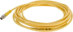 Brad Harrison - 4 Amp, M8 Male Straight to Pigtail Cordset Sensor and Receptacle - 60 VAC, 75 VDC, 4m Cable Length, IP68 Ingress Rating - USA Tool & Supply