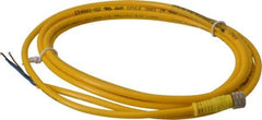 Brad Harrison - 4 Amp, M8 Female Straight to Pigtail Cordset Sensor and Receptacle - 60 VAC, 75 VDC, 2m Cable Length, IP68 Ingress Rating - USA Tool & Supply