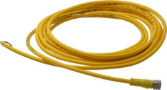 Brad Harrison - 3 Amp, M8 Female Straight to Pigtail Cordset Sensor and Receptacle - 60 VAC, 75 VDC, 4m Cable Length, IP68 Ingress Rating - USA Tool & Supply