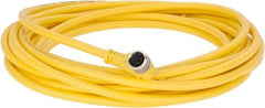 Brad Harrison - 3 Amp, M8 Female 90° to Pigtail Cordset Sensor and Receptacle - 60 VAC, 75 VDC, 5m Cable Length, IP67 Ingress Rating - USA Tool & Supply