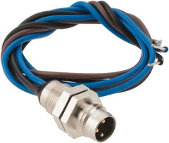 Brad Harrison - 4 Amp, M8 Male Straight Receptacle - 60 VAC, 75 VDC, 0.30m Cable Length, IP67 Ingress Rating - USA Tool & Supply