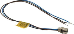 Brad Harrison - 4 Amp, M8 Female Straight Receptacle - 60 VAC, 75 VDC, 0.30m Cable Length, IP67 Ingress Rating - USA Tool & Supply