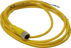 Brad Harrison - 4 Amp, M12 Female Straight to Pigtail Cordset Sensor and Receptacle - 250 VAC/VDC, 2m Cable Length, IP67 Ingress Rating - USA Tool & Supply