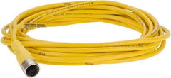 Brad Harrison - 4 Amp, M12 Female Straight to Pigtail Cordset Sensor and Receptacle - 250 VAC/VDC, 5m Cable Length, IP67 Ingress Rating - USA Tool & Supply