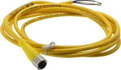 Brad Harrison - 4 Amp, M12 Female Straight to Pigtail Cordset Sensor and Receptacle - 250 VAC/VDC, 2m Cable Length, IP67 Ingress Rating - USA Tool & Supply