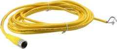 Brad Harrison - 4 Amp, M12 Female Straight to Pigtail Cordset Sensor and Receptacle - 250 VAC/VDC, 5m Cable Length, IP67 Ingress Rating - USA Tool & Supply