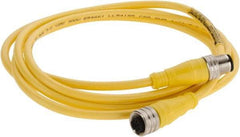 Brad Harrison - Female to Male Cordset Sensor and Receptacle - 250 VAC/VDC, 2m Cable Length, IP68 Ingress Rating - USA Tool & Supply