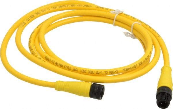 Brad Harrison - Female to Male Cordset Sensor and Receptacle - 250 VAC/VDC, 6 Ft. Long Cable, IP68 Ingress Rating - USA Tool & Supply