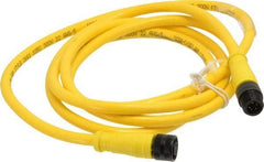 Brad Harrison - Female to Male Cordset Sensor and Receptacle - 250 VAC/VDC, 6 Ft. Long Cable, IP68 Ingress Rating - USA Tool & Supply