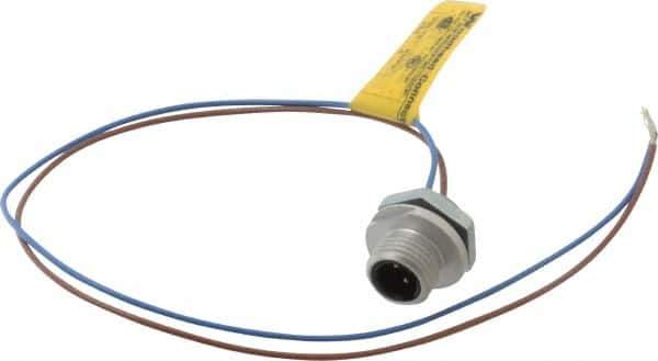 Brad Harrison - 4 Amp, 1/2-20 UNF Male Straight Receptacle - 250 VAC/VDC, 0.31m Cable Length, IP67 Ingress Rating - USA Tool & Supply