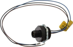 Brad Harrison - 4 Amp, M12 Male Straight Receptacle - 250 VAC/VDC, 0.31m Cable Length, IP67 Ingress Rating - USA Tool & Supply